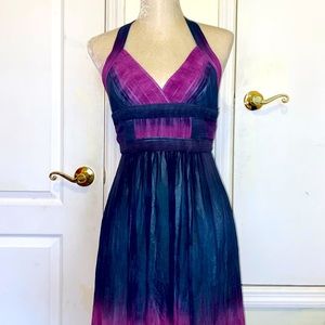Women BCBGMaxAzria Dress Ombre Halter Silk Gown 2